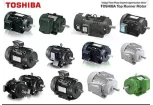 Báo giá động cơ điện motor Toshiba