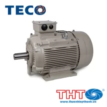 Động cơ điện Teco 8 cực