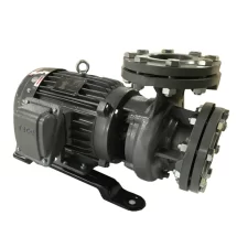 Bơm nước TECO G37-100-2P-7.5HP