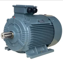 Motor kiểu chân đế SGP 