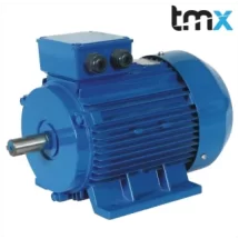 Motor chân đế (B3) 6 cực hiệu TMX công suất 0,37kw