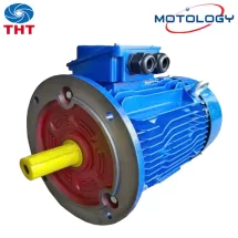 Động cơ điện MOTOLOGY 3pha kiểu Mặt bích