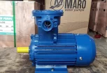 Động cơ - motor điện phòng chống cháy nổ