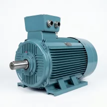 MOTOR WINSTON CHÂN ĐẾ 2POLE/2900RPM