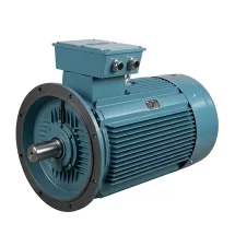 MOTOR WINSTON MẶT BÍCH 2POLE/2900RPM