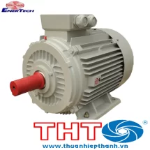 Motor chân đế động cơ gang Enertech 2 cực ESC 0,75KW